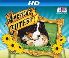 America's Cutest (2009) - Stream Online