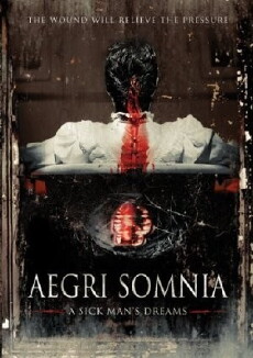 Aegri Somnia (2008) - Stream Online