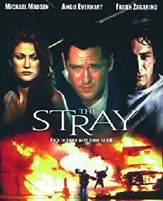 The Stray (2000) - Stream Online