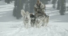 The Great Alaskan Race (2018) - Stream Online