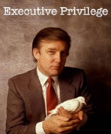 Executive Privilege (2017) - Stream Online