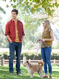 Hometown Hero (2016) - Stream Online