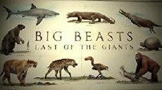 Big Beasts: Last of the Giants (2018) - Stream Online