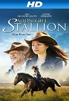 Midnight Stallion (2013) - Stream Online