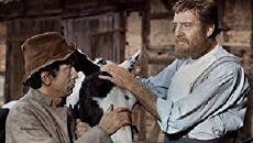 Der kleine und der große Klaus (1971) - Stream Online