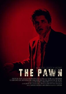 The Pawn (2010) - Stream Online