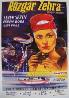 Rüzgar Zehra (1960) - Stream Online