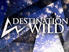 Destination Wild (2006) - Stream Online