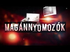 Magánnyomozók (2014) - Stream Online