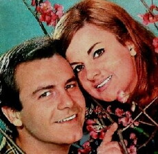 Ella, la gata (1968) - Stream Online