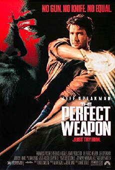 The Perfect Weapon (1991) - Stream Online