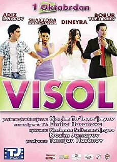 Visol (2011) - Stream Online