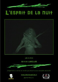 L'esprit de la nuit (2013) - Stream Online