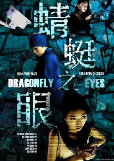 Dragonfly Eyes (2017) - Stream Online