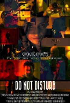 Do Not Disturb (2010) - Stream Online