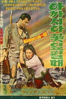 When Acacias Bloom (1962) - Stream Online