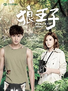 Prince of Wolf (2016) - Stream Online