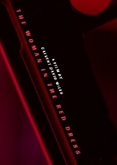 The Woman in the Red Dress (2016) - Stream Online