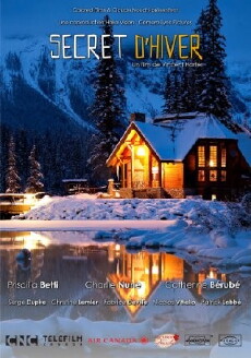 Secret d'hiver (2016) - Stream Online