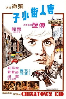 Der Kung Fu-Fighter von Chinatown (1977) - Stream Online