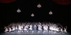 Dutch National Ballet Gala (2013) - Stream Online