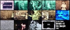 Beasts of the Jungle (1913) - Stream Online