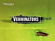Verminators (2008) - Stream Online