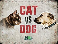 Cat Vs. Dog (2017) - Stream Online