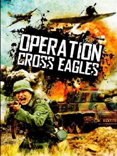 Operation Cross Eagles (1968) - Stream Online