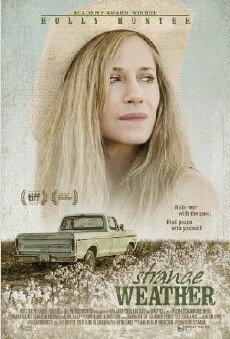 Strange Weather (2016) - Stream Online