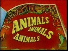 Animals, Animals, Animals (1976) - Stream Online