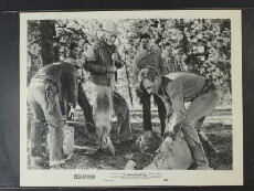 Redwood Forest Trail (1950) - Stream Online