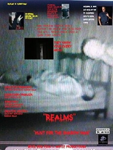 Realms Hunt for the Shadow Man (2016) - Stream Online