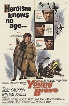 The Young and the Brave (1963) - Stream Online