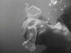 Fuori orario. Cose (mai) viste (1988) - Stream Online