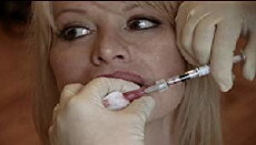 The AMC Project (2003) - Stream Online