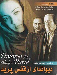 The Insane Flew Away (2003) - Stream Online