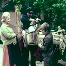 Volsebnoto samarce (1975) - Stream Online