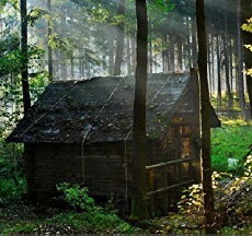 The Evergreen Fade (2018) - Stream Online