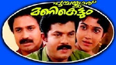 Poochakkaru Mani Kettum (1994) - Stream Online