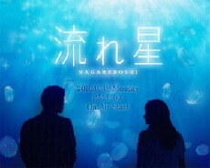 Nagareboshi (2010) - Stream Online