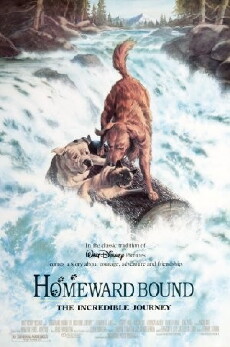 Homeward Bound: The Incredible Journey (1993) - Stream Online