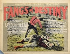 Fangs of Destiny (1927) - Stream Online