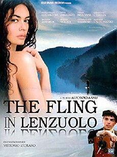 L'imbroglio nel lenzuolo (2010) - Stream Online