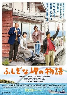 Cape Nostalgia (2014) - Stream Online