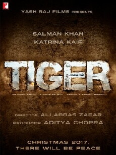 Tiger Zinda Hai (2017) - Stream Online