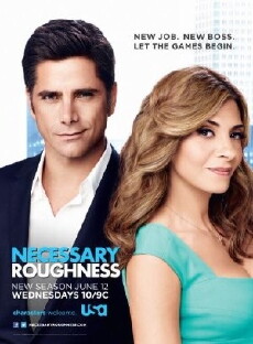 Necessary Roughness (2011) - Stream Online