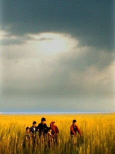 Exam (2003) - Stream Online