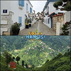 Ege'nin hamsisi (2018) - Stream Online
