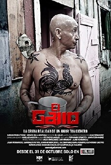 El Gallo (2013) - Stream Online